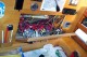 Thumbs/tn_100_2531.jpg