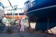Thumbs/tn_100_2920.jpg