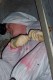 Thumbs/tn_100_2960.jpg